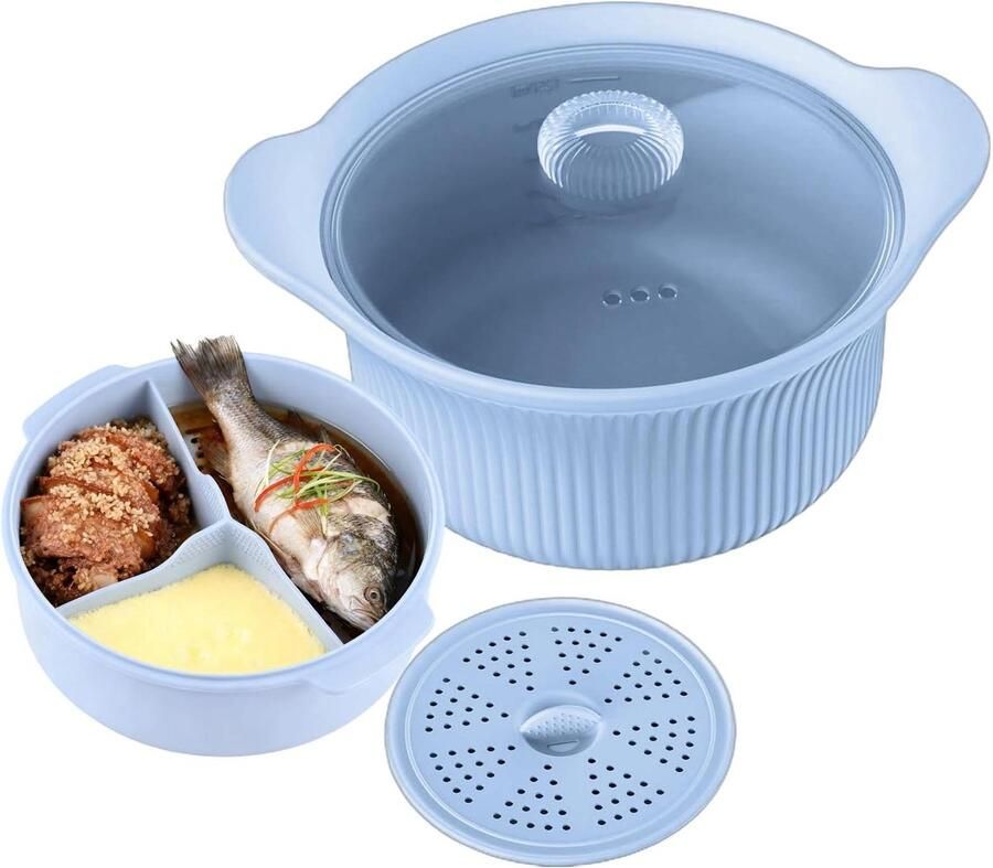 Magnetron Steamer Stoomkoker Kom Gezond Koken Meerdere Vakken 23x23x10cm Blauw Groen