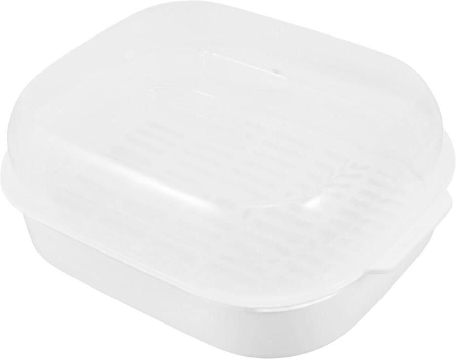 Magnetron Stoombox Stoompan Gezond Koken Behoud van Voedingsstoffen 26 cm Transparant
