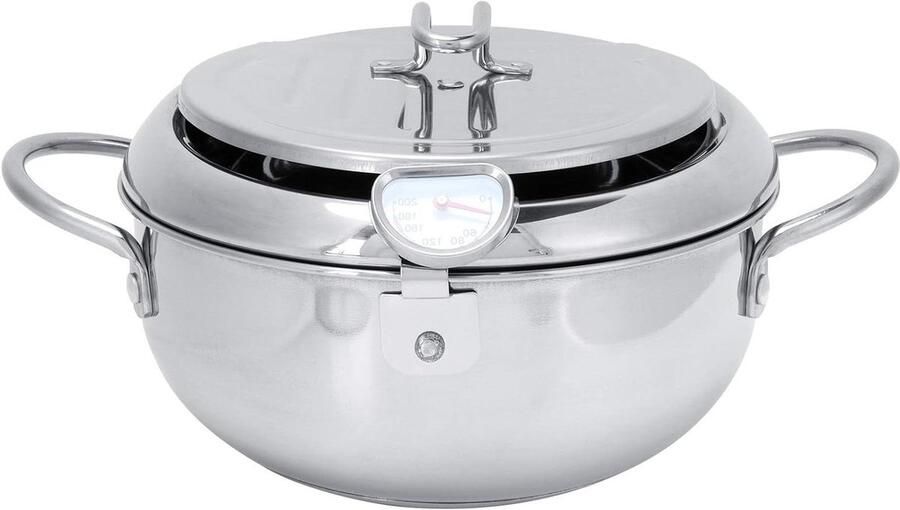 Mini Friteuse Kleine Frituurpan Thuis Frituren Met Ingebouwde Thermometer 2.2L Zilver