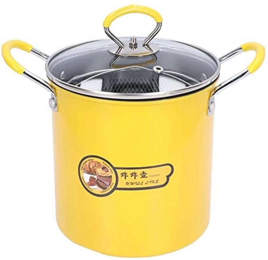 Mini Frituurpan 3L met Roestvrijstalen Oliefilter en Antislip Handvat Ideaal voor Tempura Friet en Vis