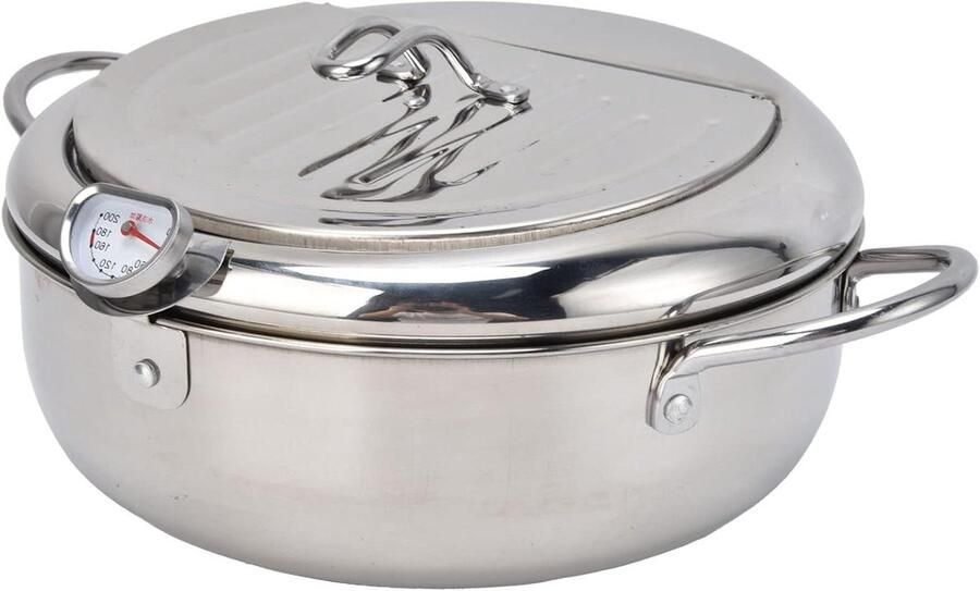 Mini Frituurpan Kleine Frituur Thuis Koken Temperatuur Regelbaar Compact Formaat Zilver