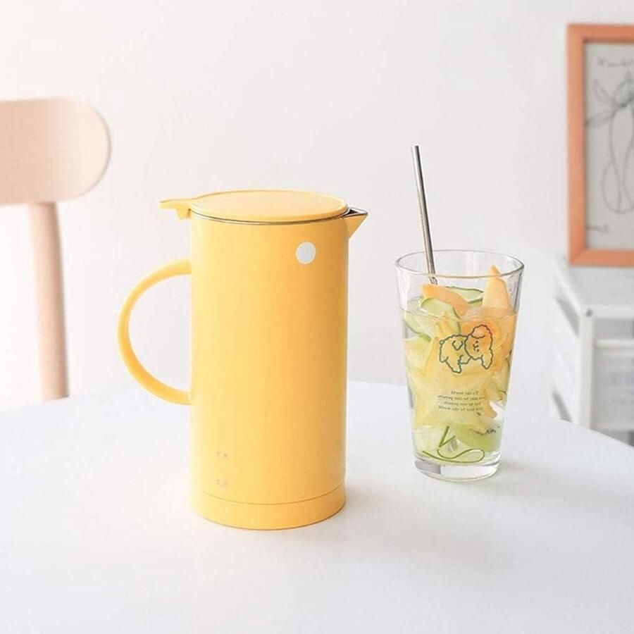 Mini waterkoker Kleine koker Drankjes bereiden Twee temperatuurstanden 0.6 liter Zilver