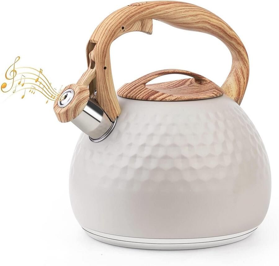 Moderne 3L roestvrijstalen waterketel voor inductie en gasfornuizen met geïsoleerd handvat