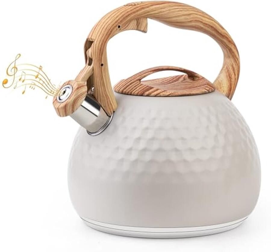 Moderne 3L roestvrijstalen waterketel voor inductie en gasfornuizen met geïsoleerd handvat