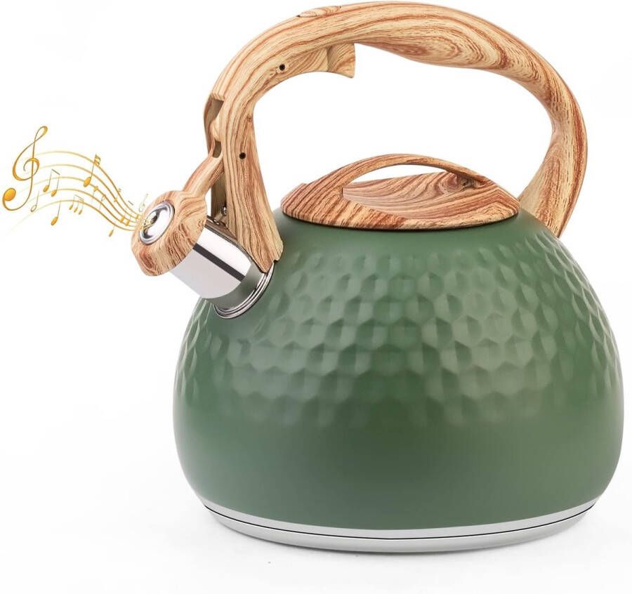 Moderne 3L Waterketel van Roestvrij Staal voor Inductie en alle Kookplaten