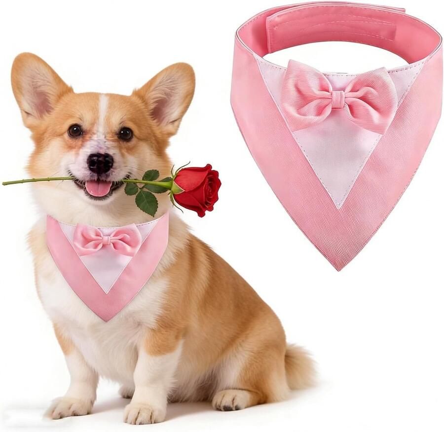 Mok voor Honden met Strik Hondenhalsband voor Trouwerijen en Feestjes Geschikt voor Middelgrote Honden Verjaardagen en Verlovingen (Hals: 35-45cm Roze) - Foto 1