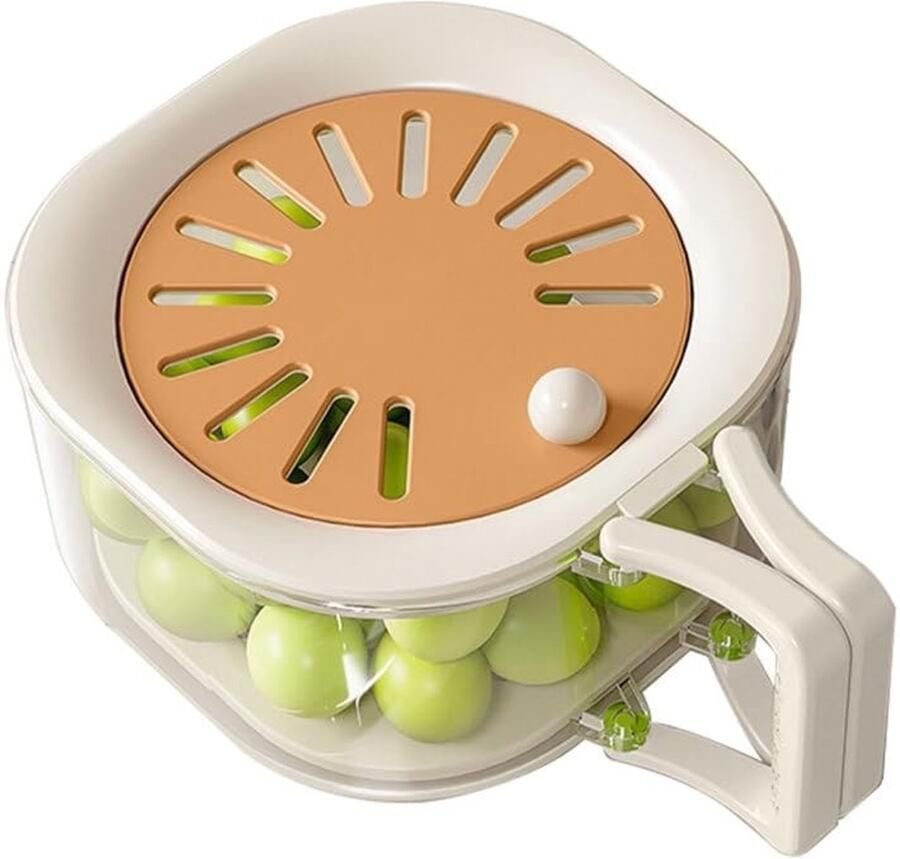 Dailygoods- Fruitwaskom met uitneembare afdruipmand Afneembaar ontwerp Mesh zeef Opvouwbare handgreep Deksel Voor wassen en bewaren van fruit en groenten Afvoermand