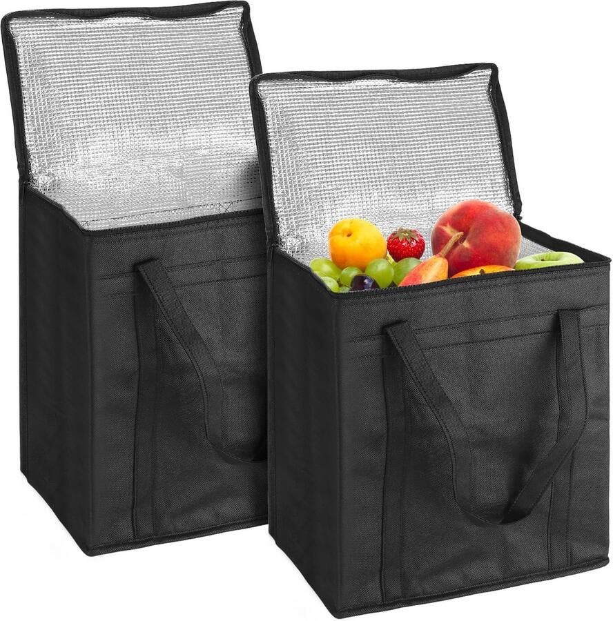 Omgoods Set van 2 Koelers voor Voedselbezorging en Picknicks