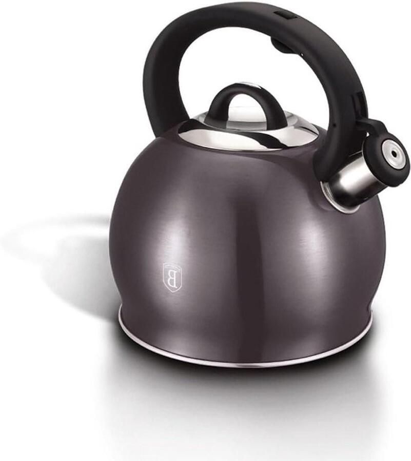 Pijpketel Waterketel Fluitketel Water Koken Geluidsindicatie 3 Liter Donkergrijs Metallic