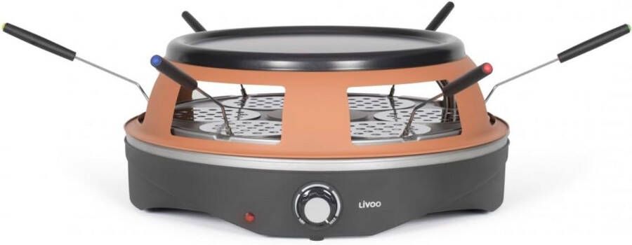 Pizzaoven voor 6 personen met thermostaat en accessoires Perfect voor zelfgemaakte mini-pizza's