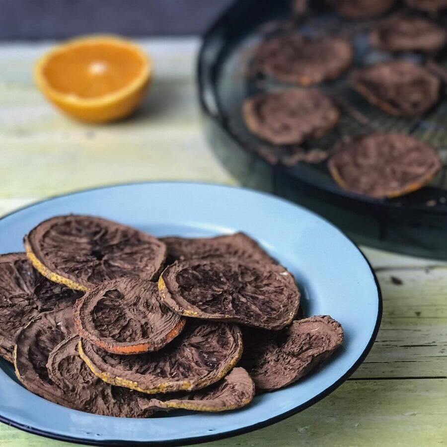 Professionele Voedseldroger 800W voor Fruit Groenten en Vlees