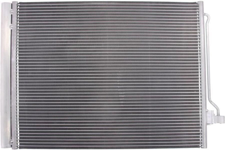 Professionele Voedseldroger met Instelbare Temperatuur