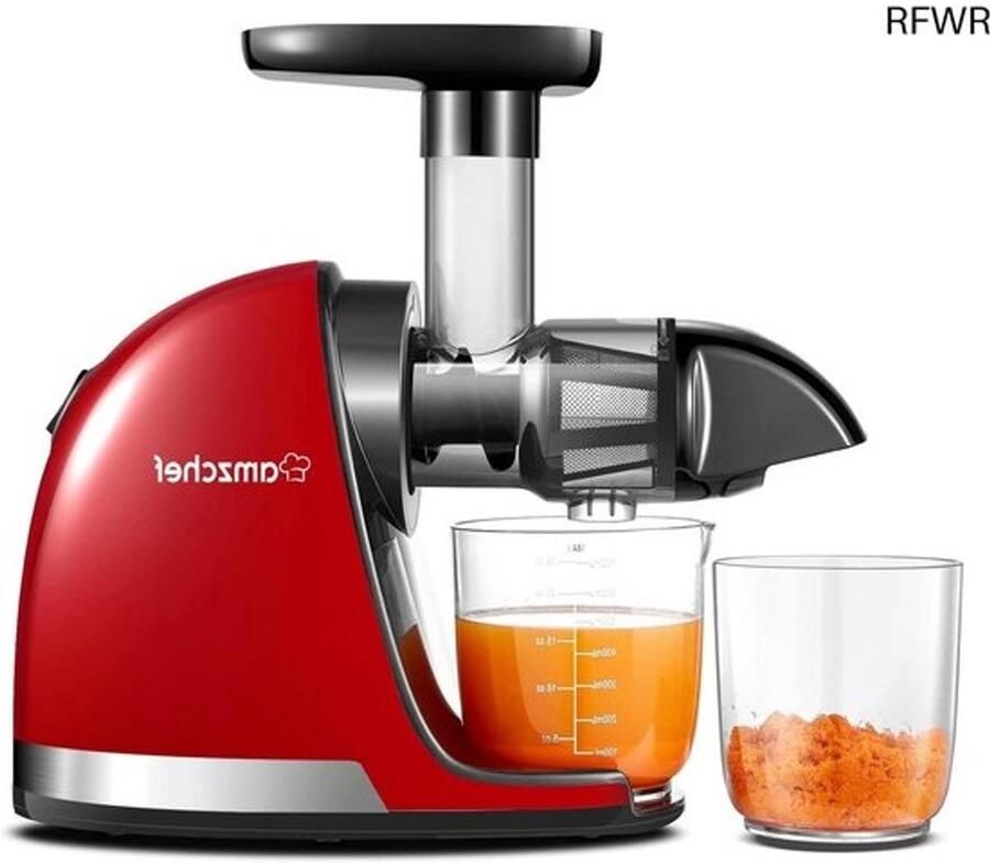 RFWR Cold Press Slow Juicer voor Groente en Fruit Masticating Sapcentrifuge met 2 Kopjes Ideaal voor Gezondheidsbewuste Keukens