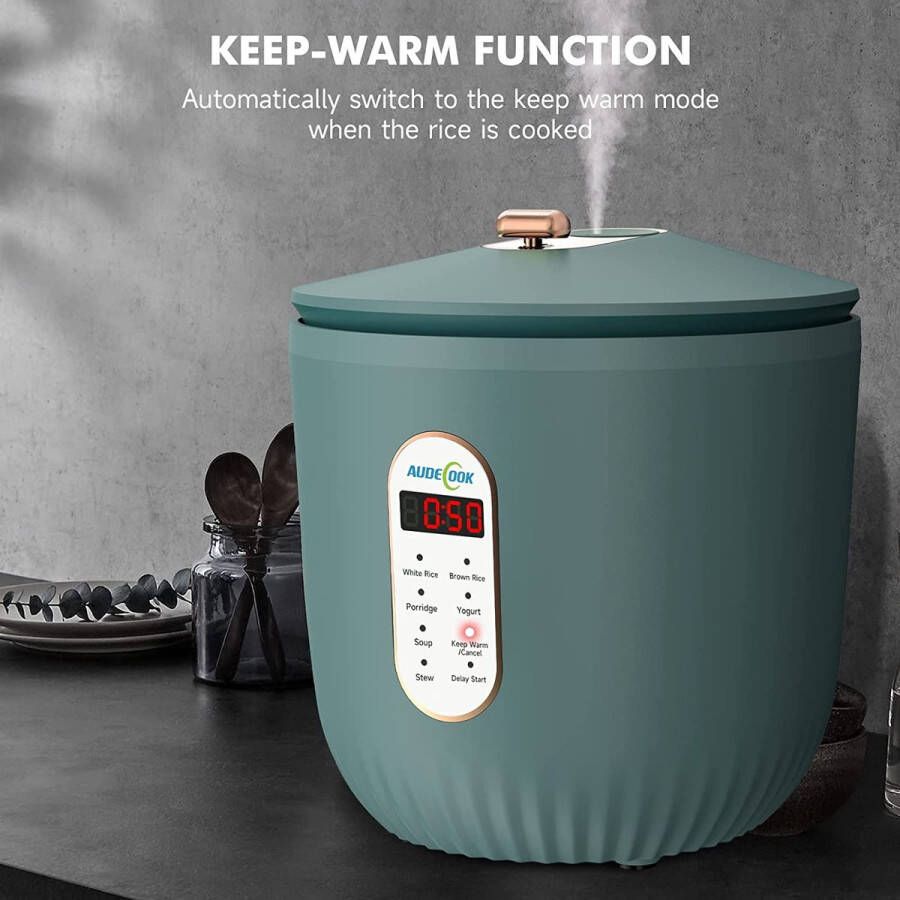 Rice Cooker and Steam Cooker Easy fast and healthy cooking A Healthier Way to Cooking Rice