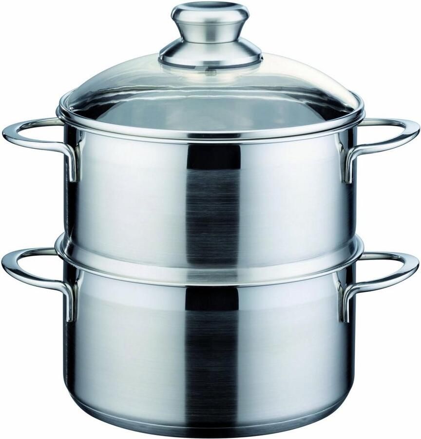 Roestvrij Staal Steamer met Insert 20 cm