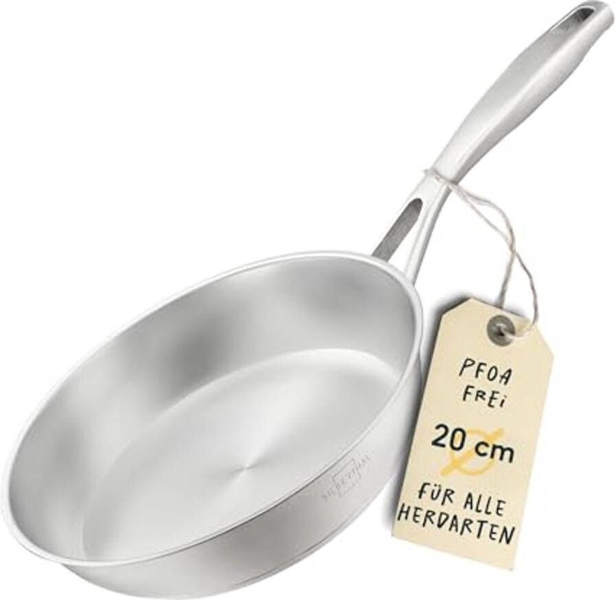 Roestvrij Stalen Braadpan voor Inductie Professionele 20 cm