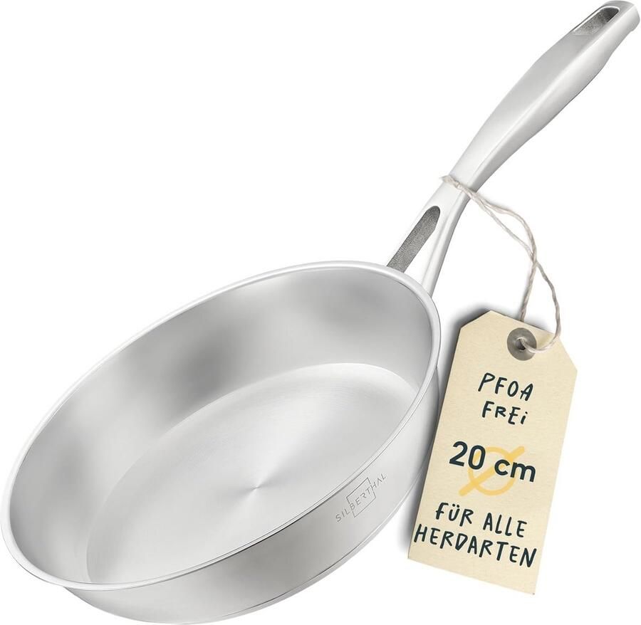 Roestvrij Stalen Braadpan voor Inductie Professionele 20 cm