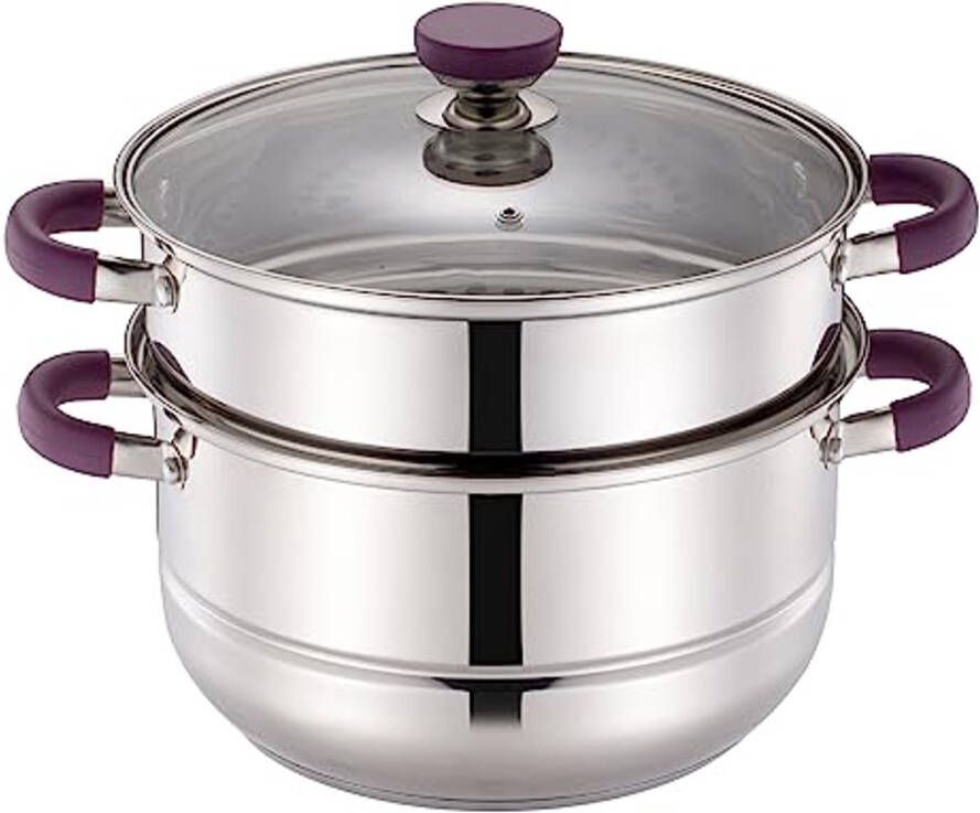 Roestvrijstalen 2-Tier Stoompot voor Groenten 25 5 cm met Deksel