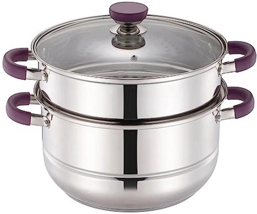 Roestvrijstalen 2-Tier Stoompot voor Groenten 25 5 cm met Deksel