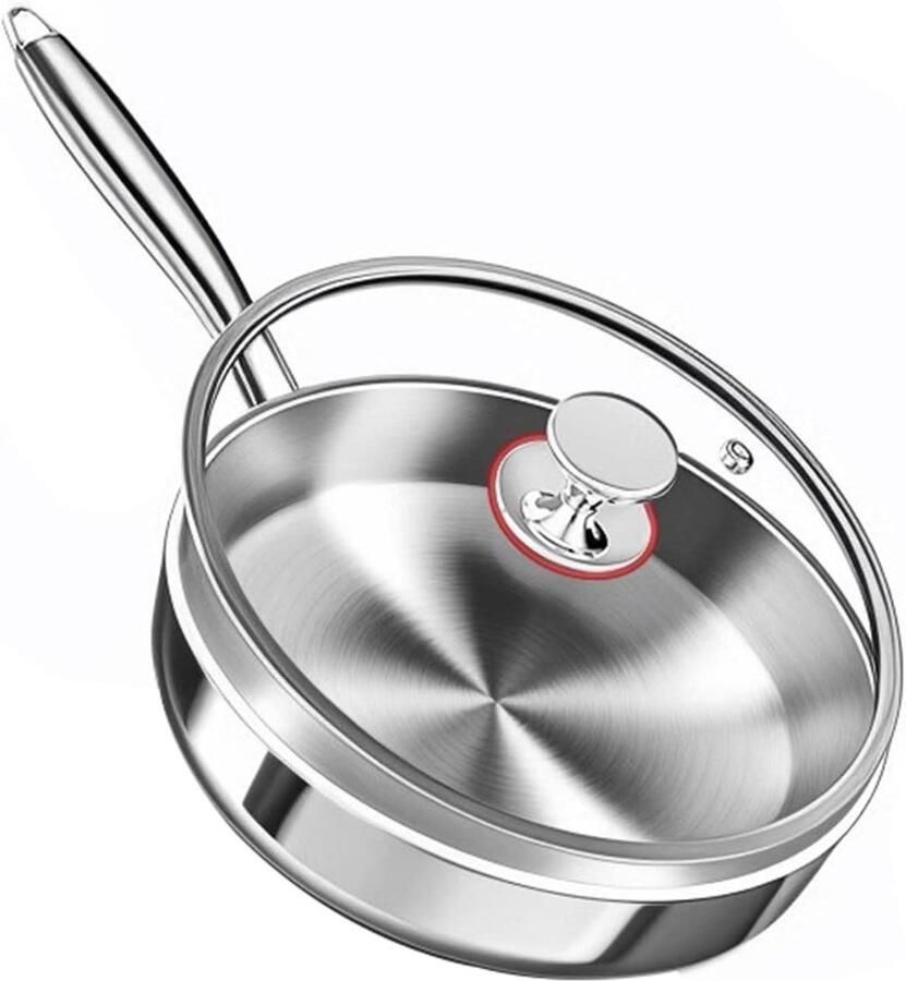 Roestvrijstalen braadpan Anti-aanbak pan Culinaire creaties Afneembaar handvat 22 cm Zilver
