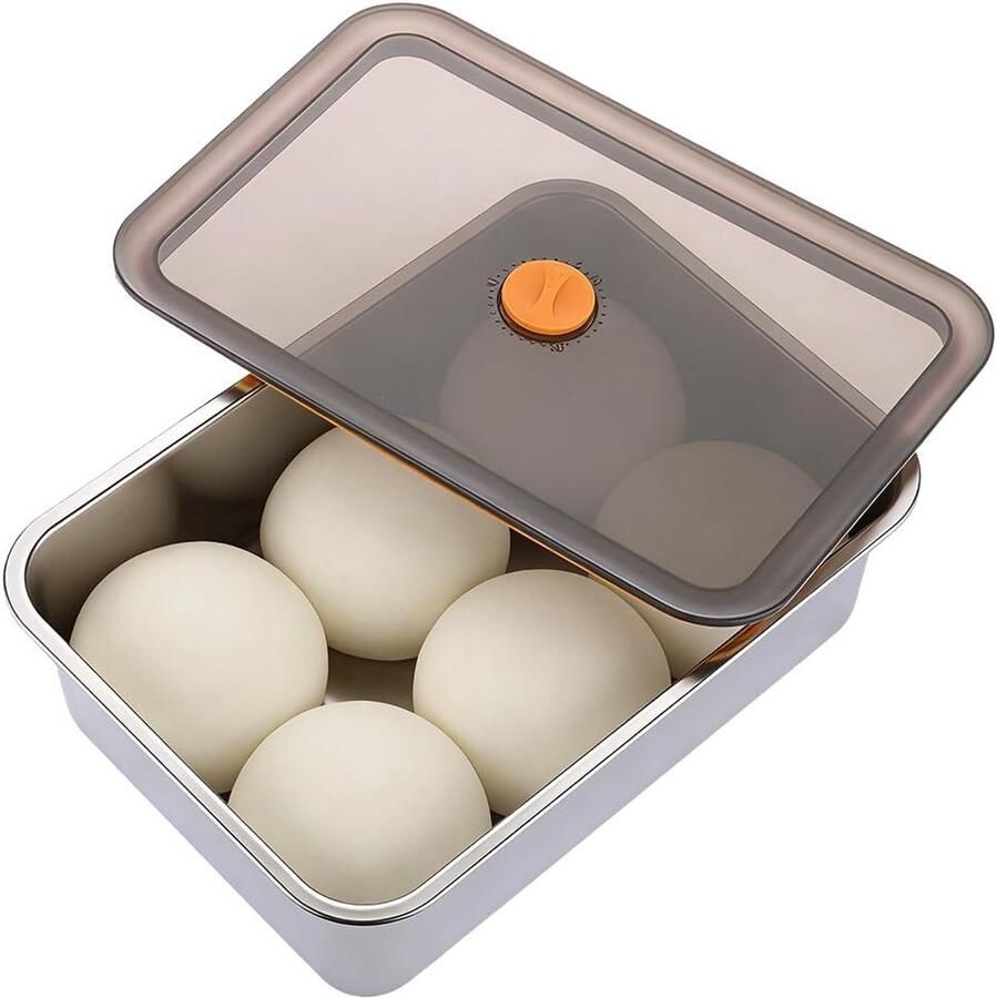 Roestvrijstalen Fermentatiebox met Deksel voor Pizza Deeg Fruit en Salades (30 x 21 x 8.5 cm)