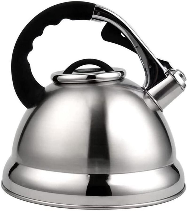 Grote Waterkoker Theepot Ketel Water Koken Fluitend 4.2 Liter Zilver