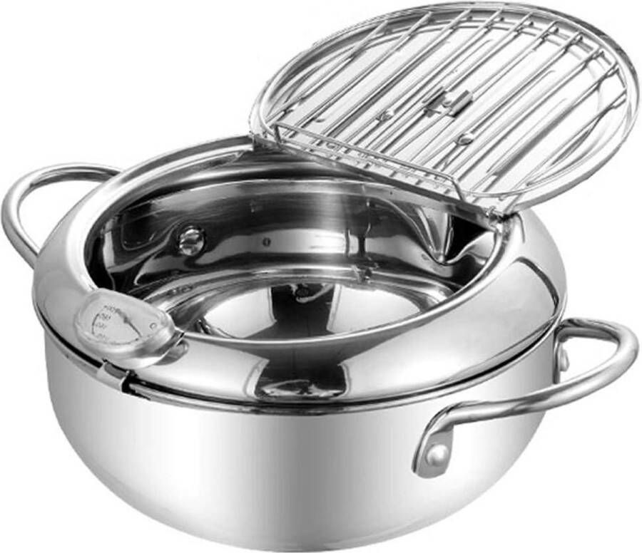 Roestvrijstalen friteuse 2.5L met deksel en afneembaar afdruiprek inclusief friteuse thermometer