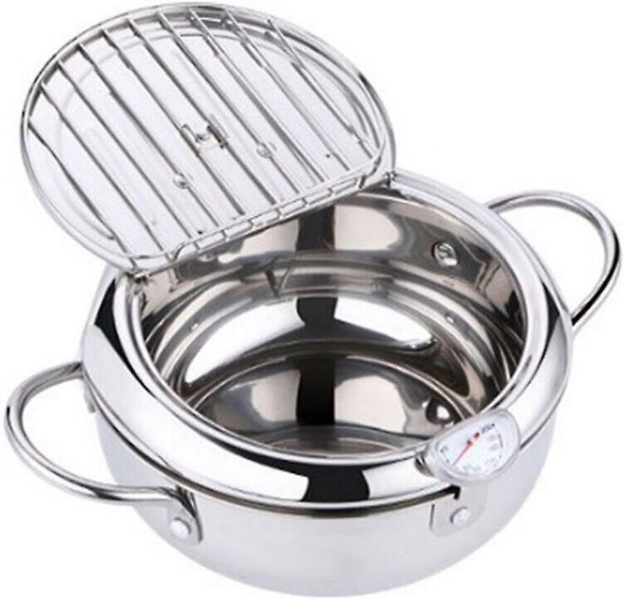 Roestvrijstalen friteuse – Friteuse met temperatuurregeling