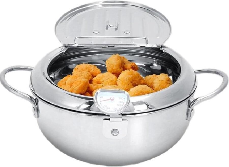Roestvrijstalen Frituurpan met Temperatuurregeling en Morsbestendig Deksel 2.2L