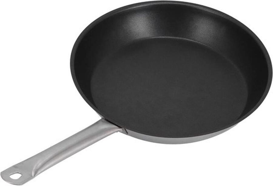 Roestvrijstalen koekenpan Koekepan koekenpan Omeletten pannenkoeken maken Antiaanbaklaag 30 cm diameter Zilverkleurig