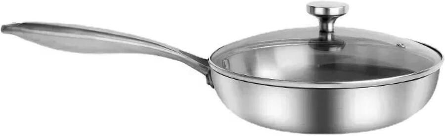 Roestvrijstalen Koekenpan Antiaanbak Pan Gezond Koken Gelijkmatige Warmteverdeling 24 cm Zilver