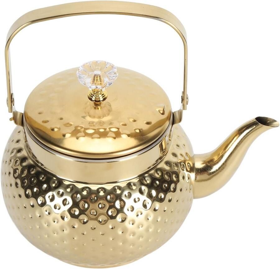 Roestvrijstalen Kookketel met Infuus voor Thee en Koffie Snel Warm