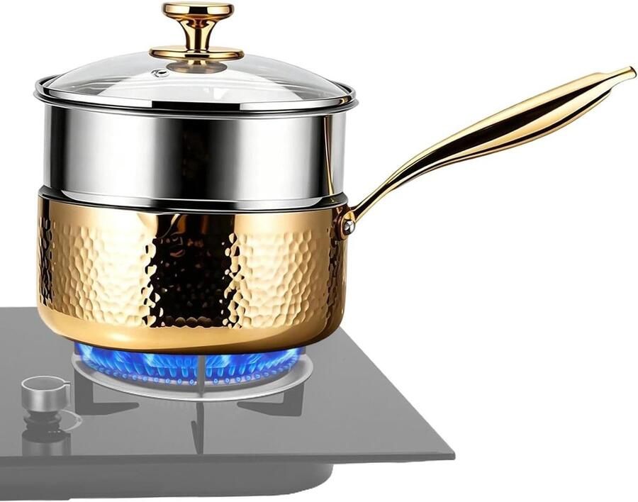 Roestvrijstalen Pot Stoompan Kookpot Gezond Koken Dubbele Schenktuit 20x22x20 cm Goud