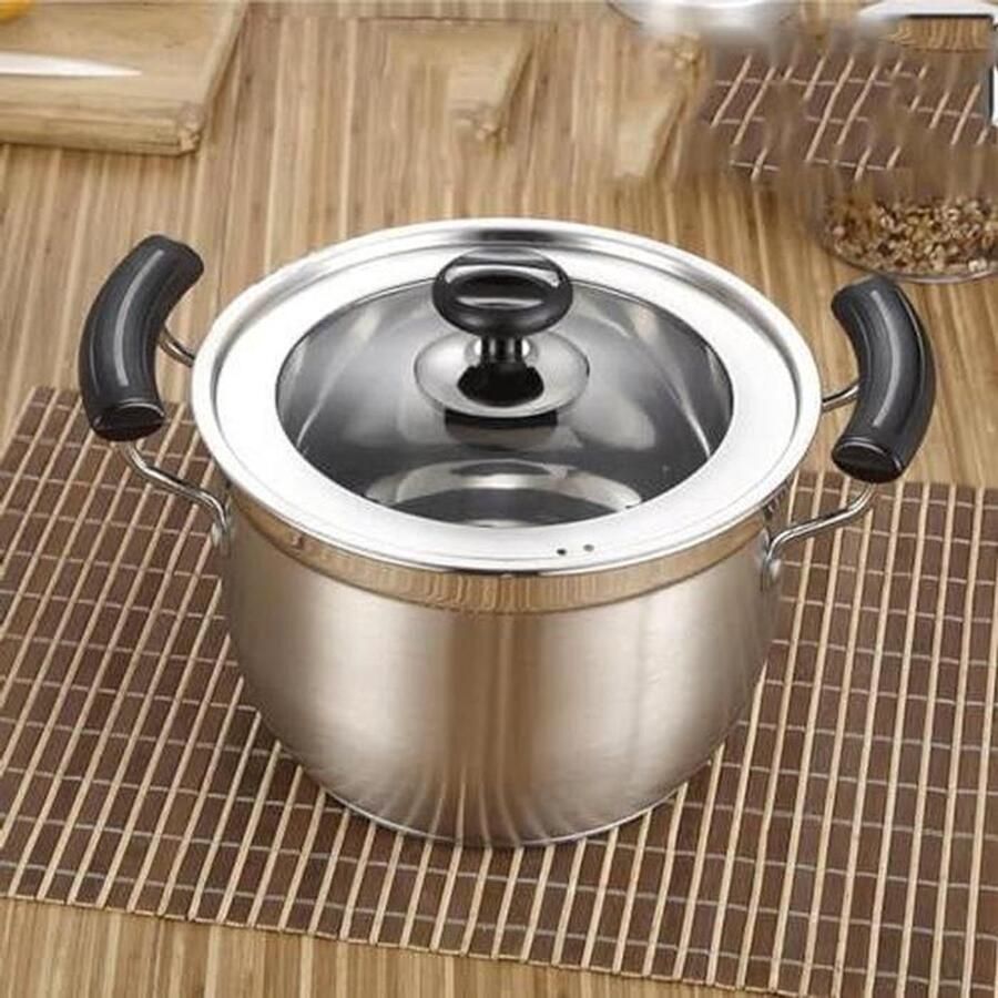 Roestvrijstalen Soeppan Dubbele Bodem Pan Thuis Koken Energiezuinige Constructie 20CM Diameter Zilverkleurig