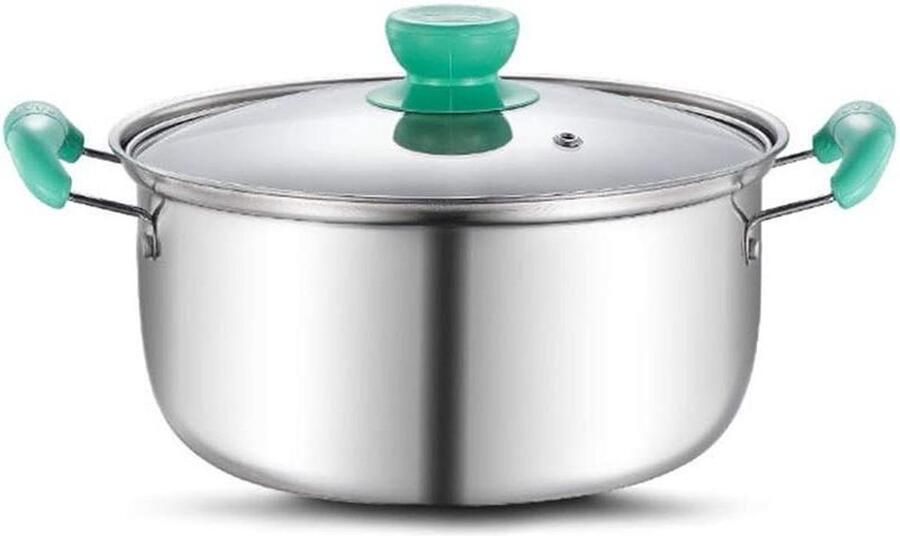 Roestvrijstalen Soeppan Kleine Kookpot Lekker Koken Antiaanbaklaag 22 cm Zilver