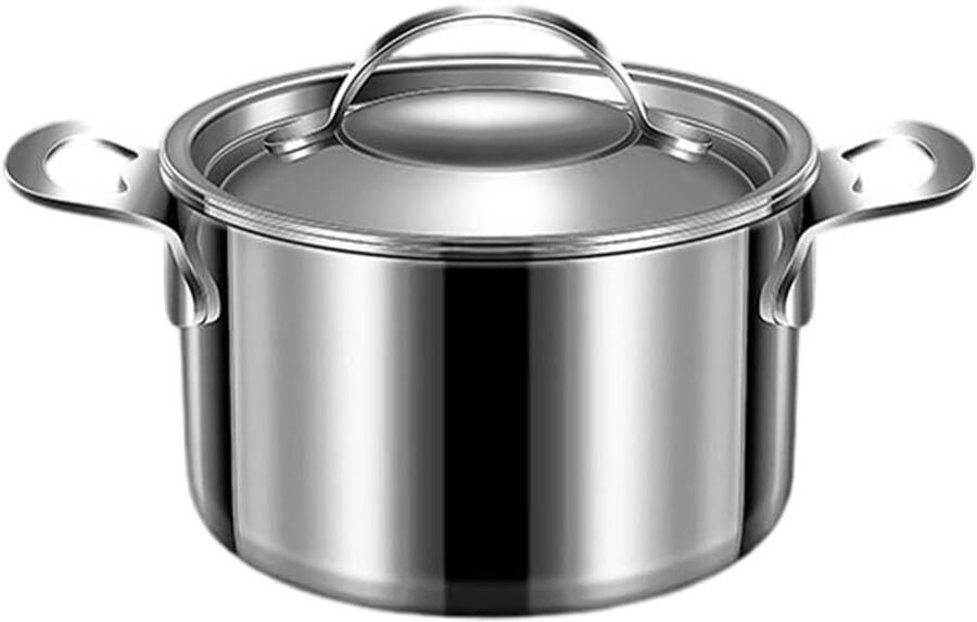 Roestvrijstalen soeppan Stoofpot Dubbel oor Maaltijden bereiden Gelijkmatige warmteverdeling Niet gespecificeerd Zilver