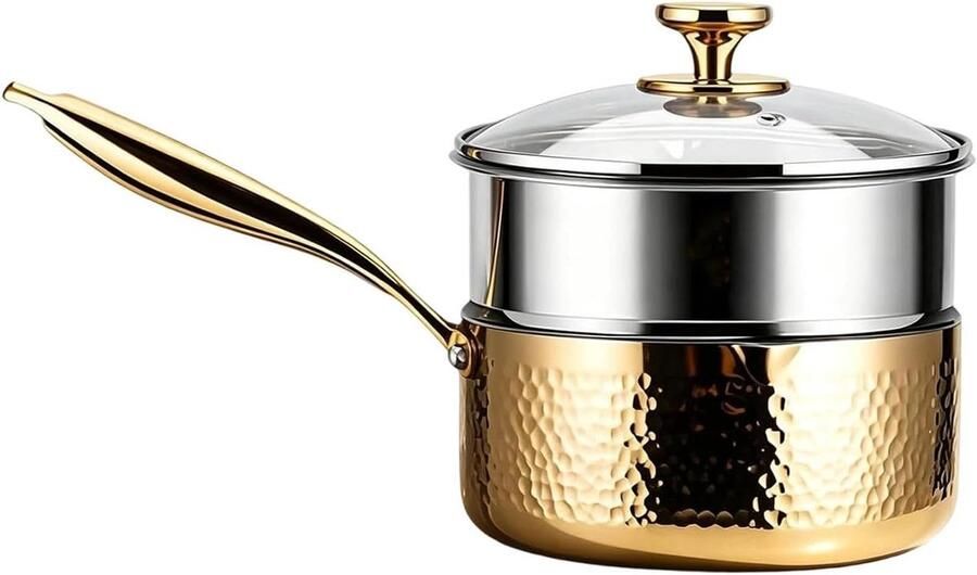 Roestvrijstalen Steelpan Kleine Stoompan Koken en Braden Dubbele Schenktuit 20 cm Diameter Goud