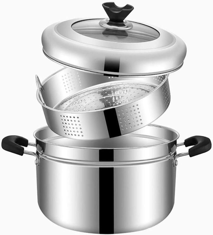 Roestvrijstalen Stoompan Dubbele Kookpan Stomer Gezond Koken Inclusief Deksel 25 x 22 cm Zilver