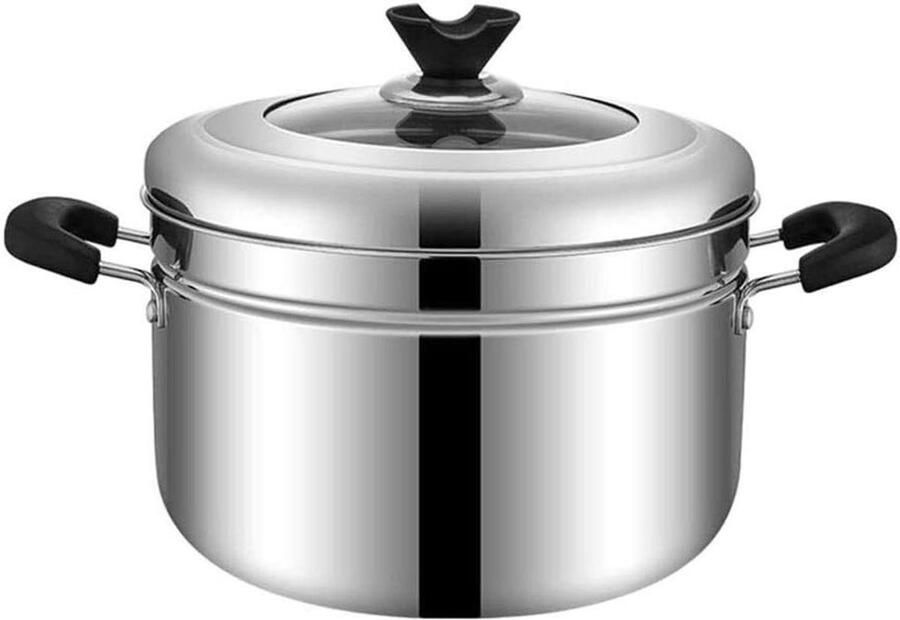 Roestvrijstalen Stoompan Dubbele Stoompan Gezond Koken Energiebesparend 25x22 cm Zilver