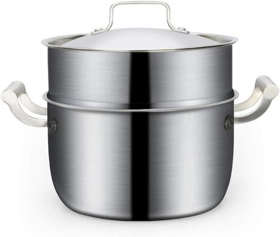 Roestvrijstalen Stoompan Kookpan Deksel Gezond Koken Ingekapselde Bodem 16cm Zilverkleurig