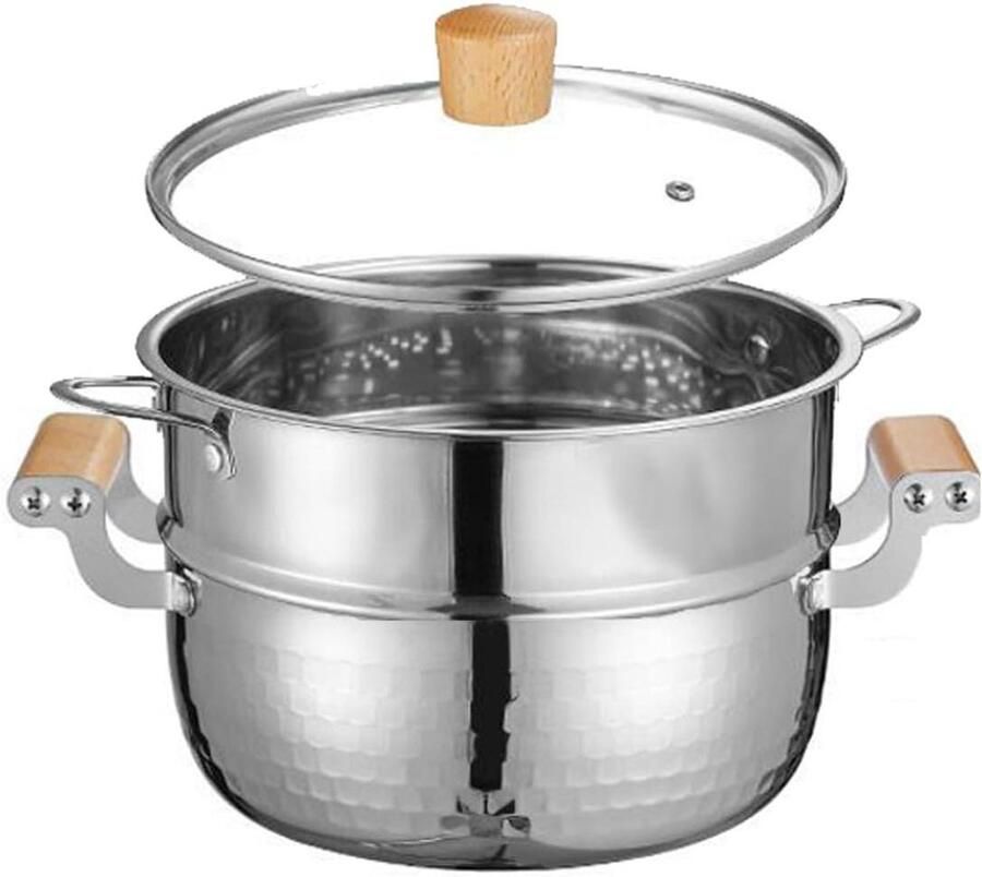 Roestvrijstalen Stoompan Multifunctioneel Kookgerei Gezond Koken 2 Lagen Ontwerp 22cm Diameter Zilverkleurig