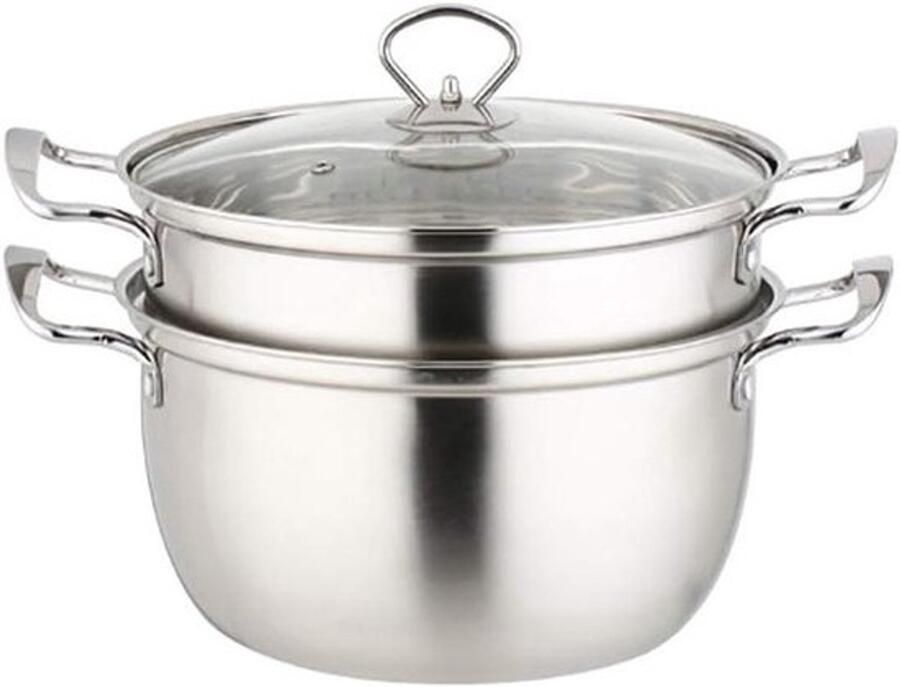 Roestvrijstalen Stoompan Soeppan Kookpan Gezond Koken Ingekapselde Bodem 22 cm Zilverkleurig