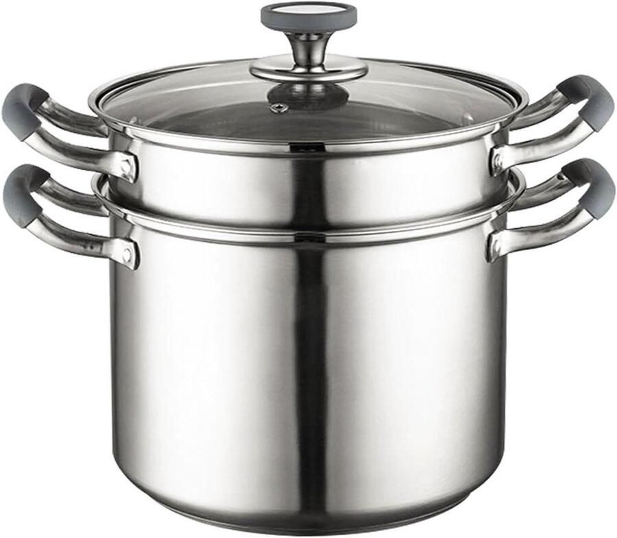 Roestvrijstalen stoompan Voorraadpot met deksel Gezond koken 2 niveaus 30 cm Zilverkleurig