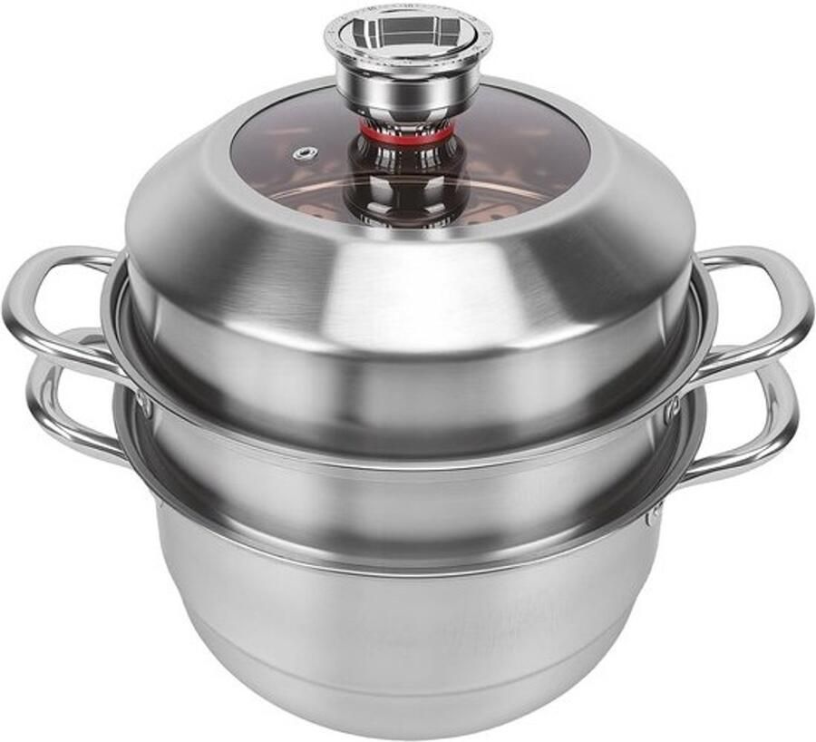 Roestvrijstalen Stoompot Multifunctionele Kookpot Gezond Koken Met Timer 275 cm Zilver
