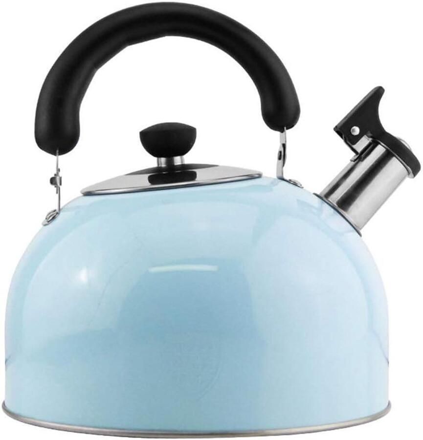 Roestvrijstalen Theeketel Waterkoker Fluitketel Koken en Keuken Ingekapselde Bodem 6L Blauw