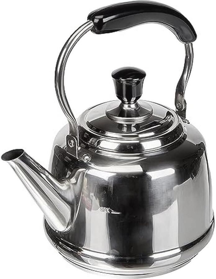 Roestvrijstalen Waterketel 2 5 Liter 18 cm Hoogte