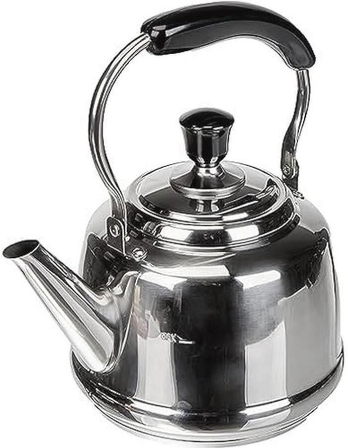 Roestvrijstalen Waterketel 2 5 Liter 18 cm Hoogte