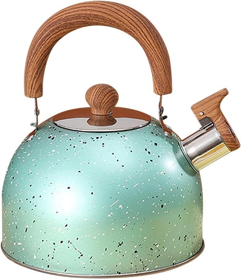 Waterkoker met Fluit Pijpketel Roestvrij Staal Water Koken Grote Capaciteit 2 Liter Groen