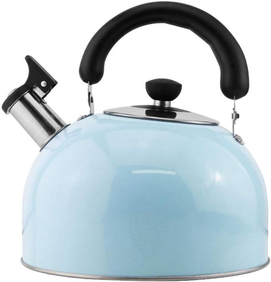 Roestvrijstalen waterketel Theepot fornuis Water koken Geschikt voor alle kookplaten 5 Liter Blauw