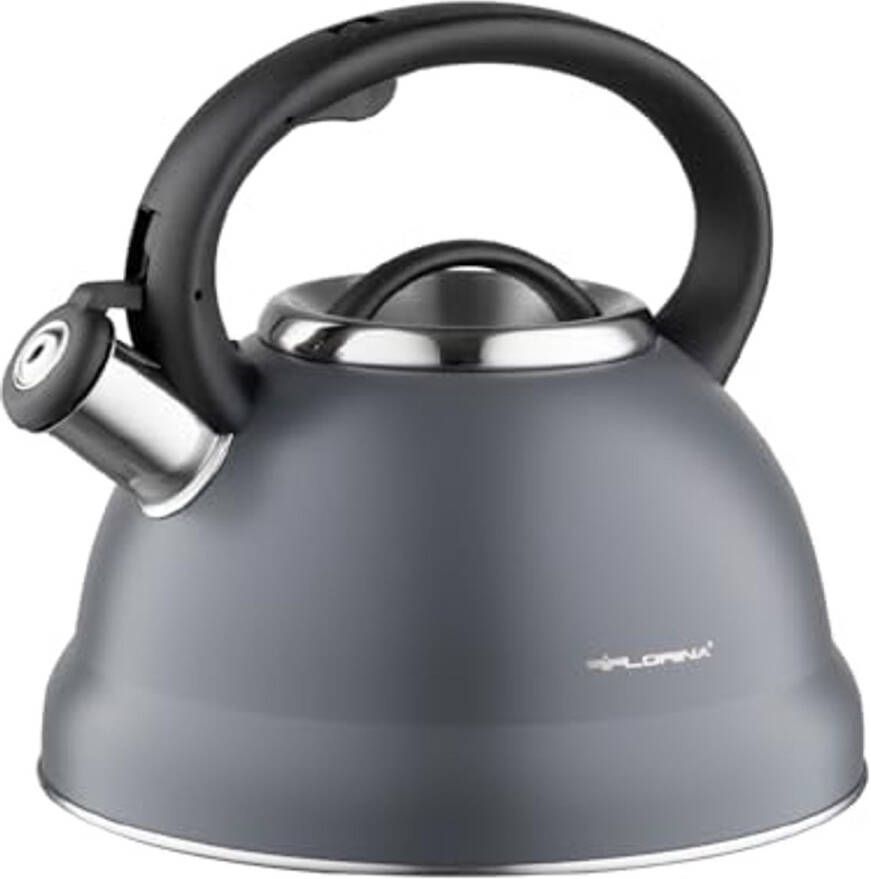 Roestvrijstalen Waterkoker 2 5L met Bakelieten Handvat Fluitketel voor Thee en Koffie Geschikt voor Alle Kookplaten Grijs